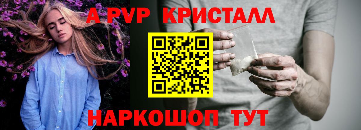 A PVP СК Новый Уренгой