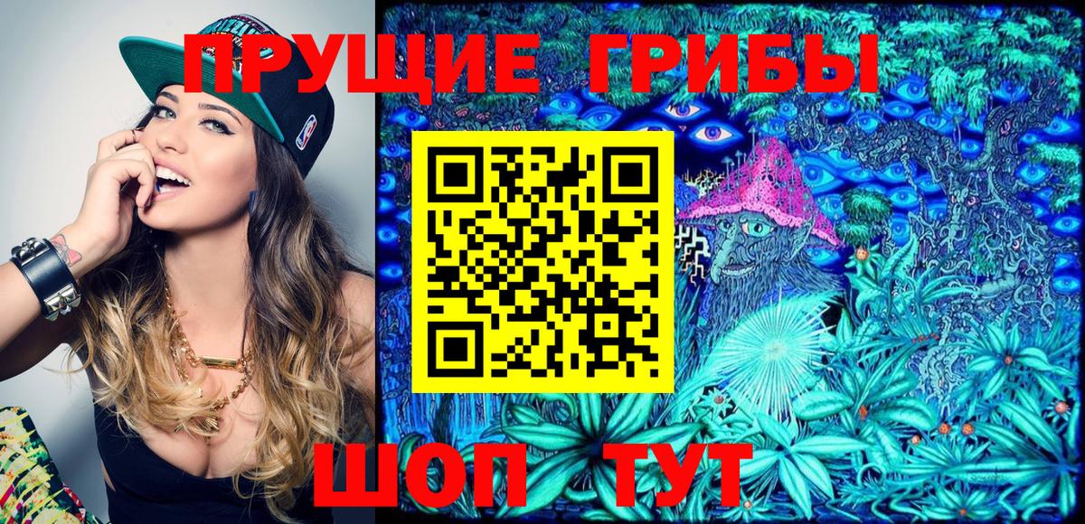 Новый Уренгой  Псилоцибиновые грибы Psilocybe  Вход с VPN  Галлюциногенные грибы прущие грибы 